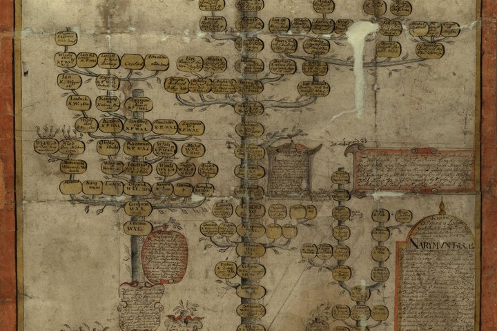 1666 metais padarytas Radvilų giminės genealoginis medis. Su legendine dalimi medis apima 21 kartą. Saugomas Lietuvos valstybės istorijos archyve Vilniuje.