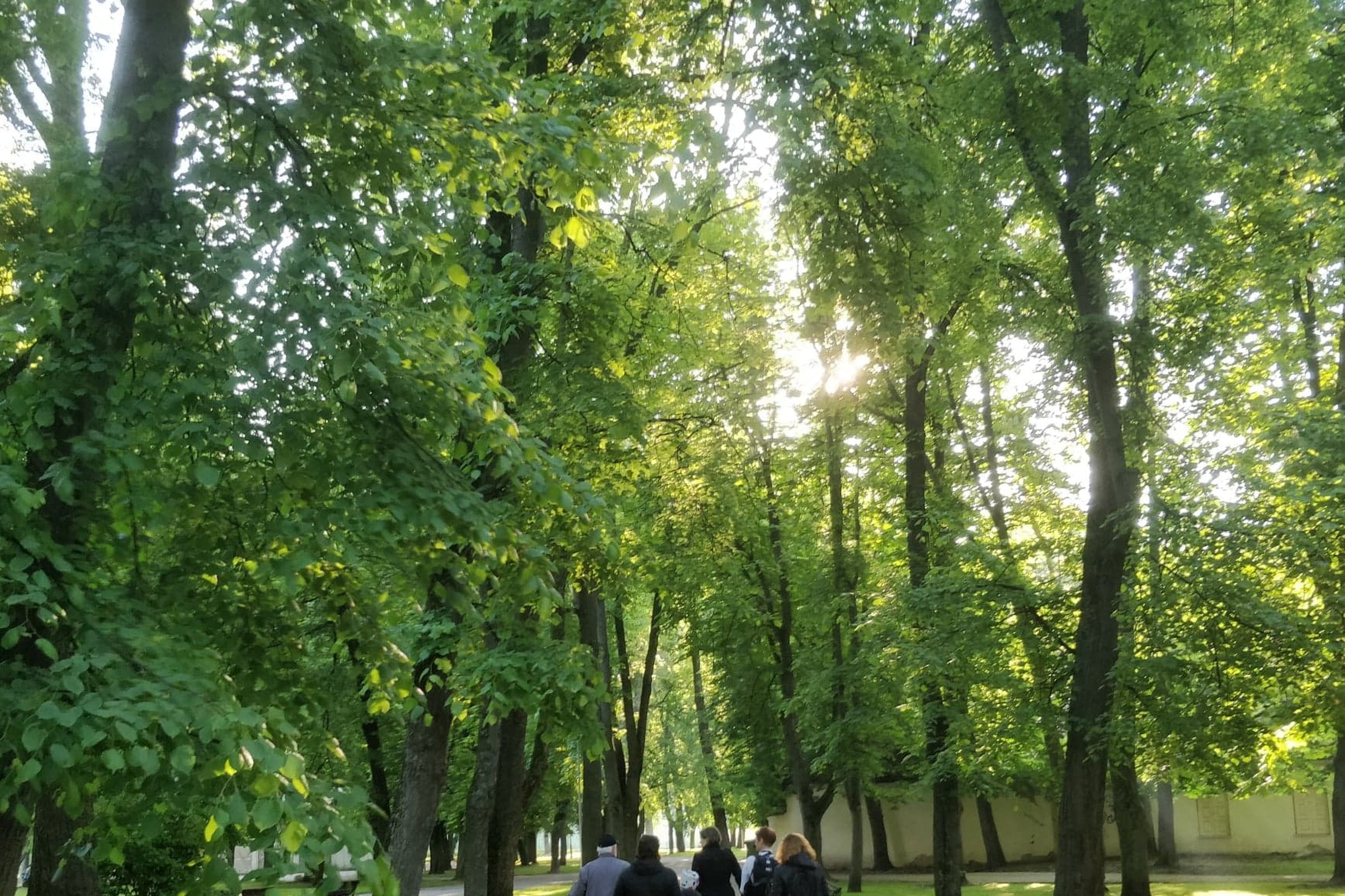 Būrelis žmonių traukia Pilių parko taku stebėti paukščių. Parko alėja su senais medžiais, kuir ką tik prasprogo.