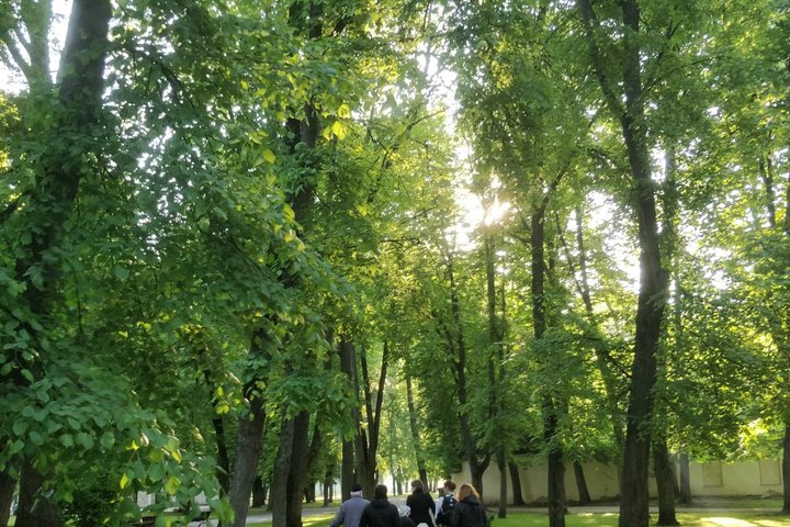 Būrelis žmonių traukia Pilių parko taku stebėti paukščių. Parko alėja su senais medžiais, kuir ką tik prasprogo.