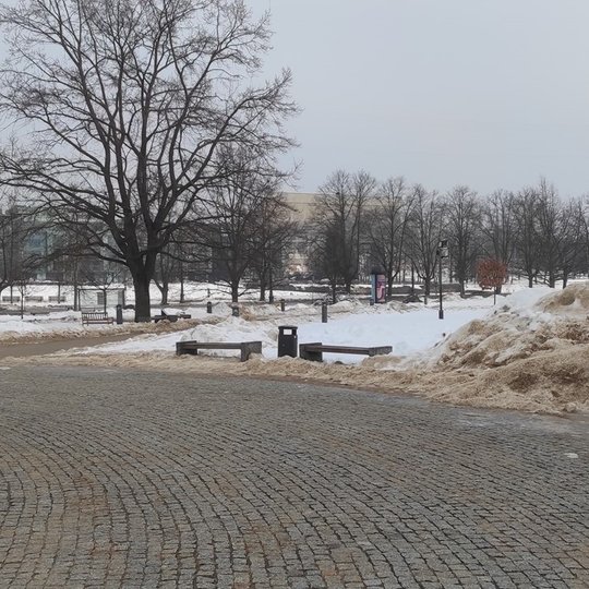 Karaliaus Mindaugo skveras su suoliukais. Jis išvalytas nuo sniego. Pakraščiuose pupso sustumtos nešvaraus sniego krūvos. Veja padengta baltu sniegu. Žiemos pabaiga.