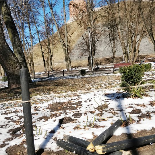 Pilių parko gėlynai. Pavasarėja, sniegas pažliugęs, šviečia saulė. Kažkas sulaužė keturis juodus medinius kuoliukus, kurie saugojo gėlynus nuo mindžiojimo. Už gėlyno yra Gedimino pilies kalnas ir bokštas.