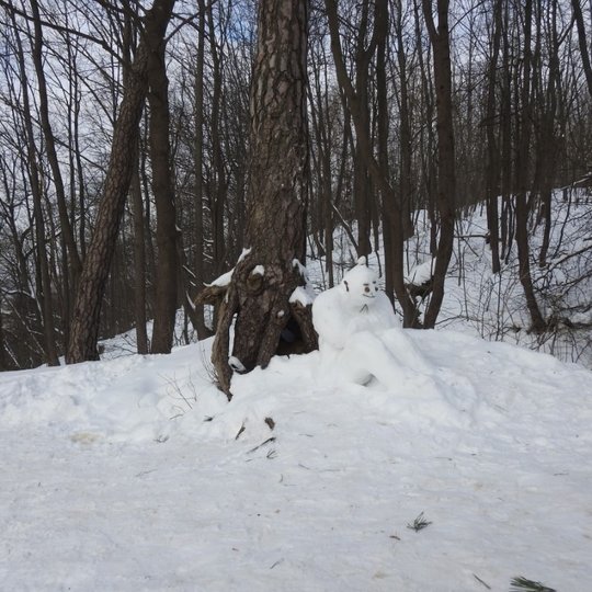 Kalnų parke po medžiu sėdi iš sniego padaryta žmogysta. Sniego žmogus gerai nusiteikęs - jis šypsosi, turi padarytas juodas akis, burną ir barzdelę. Aplinkui labai daug sneigo.
