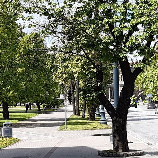 Naujomis šiukšlių dėžėmis aprūpinta karaliaus Mindaugo teritorija, takai šalia Katedros šiaurinės dalies ir takai link Senojo arsenalo. Senos šiukšlių dėžės išvežamos iš teritorijos.