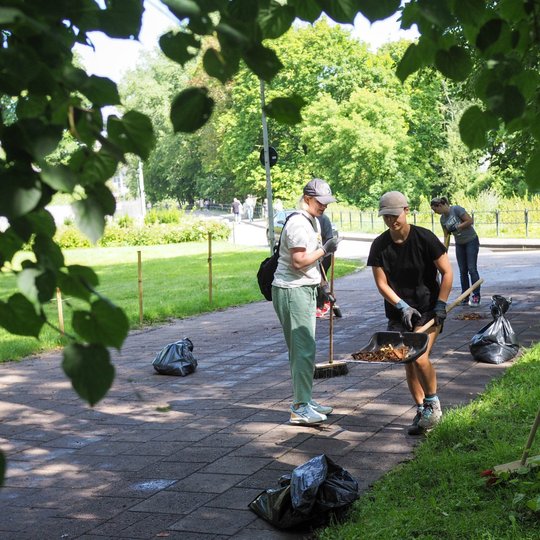 Sereikiškių parko rytinėje dalyje, prie Trispalvės alėjos, savanoriai į šiukšlių maišus krauna sugrėbtus ir sušluotus medžių lapus.