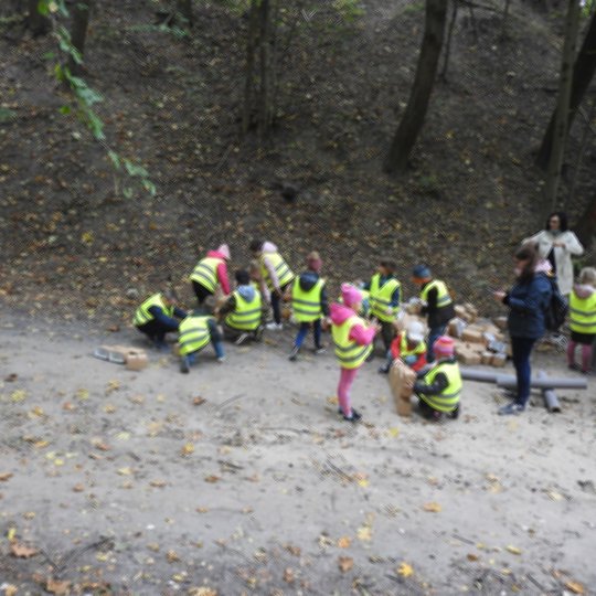 Iliustracija