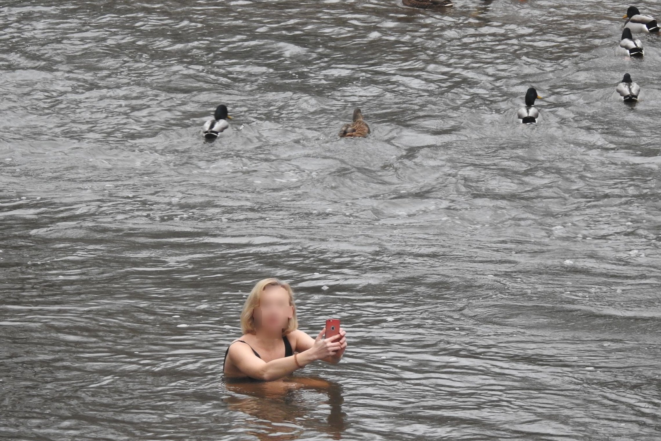  Nuotraukoje upė Vilnelė ir panirus vandenyje iki pečių jauna, šviesių plaukų moteris. Ji bando nusifotografuoti save su mobiliu telefonu. Laiko savo rankose telefoną, bet yra pasisukusi į dešinę, žiūri į krantą, nes mato, kad ją fotografuoja. Ji nepyksta