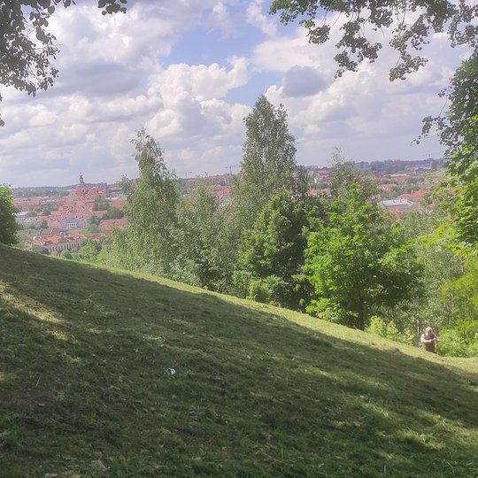 Gražiai nušienautas Altanos kalno šlaitas. Pro medžius horizonte matosi Viniaus vaizdas.