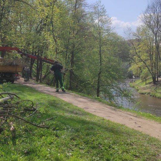 Yra tvarkomos pavasarinės žiemos išdaigas, kai šių metų balandžio 24-25 d., snigant ir esant stipriam vėjui (galima pavadinti net pūga), virto medžiai Vilniaus pilių teritorijoje. Vienas iš medžių stipraus vėjo neatlaikė ties paminklu K. Bekešui, kitas -