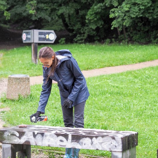 Savanorė Vilnios dešiniajame krante, Altanos ir Bekešo kalnų papėdėje, prie Didžiosios griovos, valo grafičiais apipieštą lauko suoliuką.