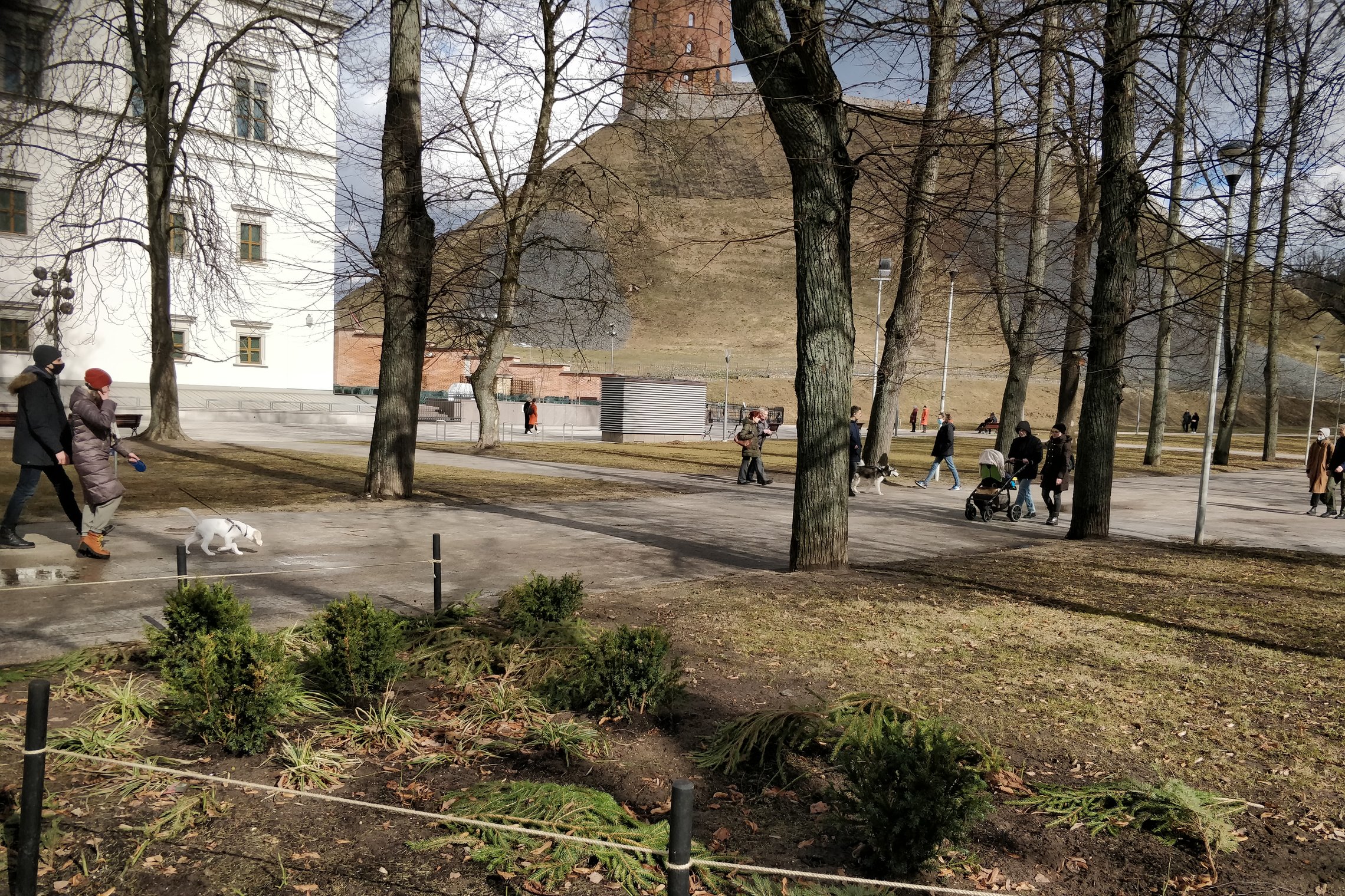 Po žiemos tvarkomi Pilių parko gėlynai. Yra nurenkamos eglių šakos, kurios žiemos metu dengė, saugojo nuo šalčių ir druskų pasodintas rožes. Vaiski ankstyvo pavasario diena. Kairėje stūkso Valdovų rūmai, nuotraukos viduryje - Gedimino kalnas ir Gedimino