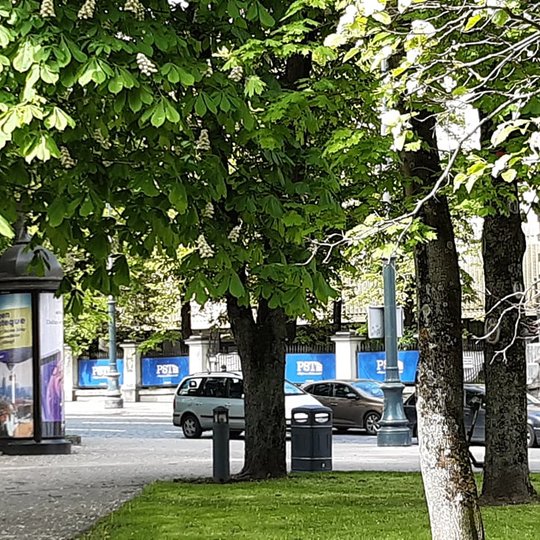 Naujomis šiukšlių dėžėmis aprūpinta karaliaus Mindaugo teritorija, takai šalia Katedros šiaurinės dalies ir takai link Senojo arsenalo. Senos šiukšlių dėžės išvežamos iš teritorijos.