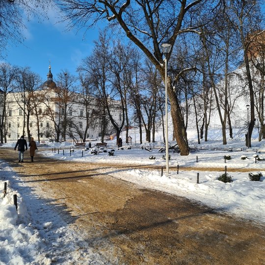 Iliustracija