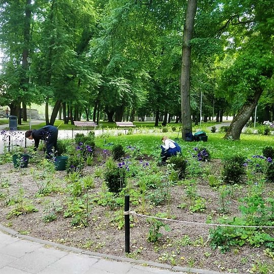 Kelios moterys ravi ovalinės formos gėlyną. Senas ūksmingas Pilių parkas.