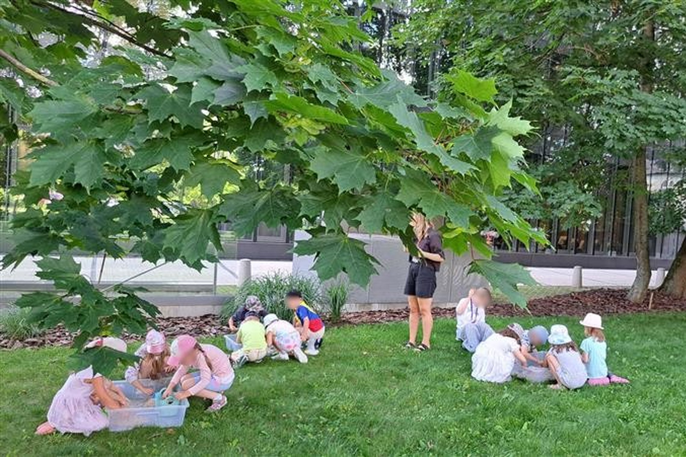 Nuotraukoje edukacija, kuri vyko po didžiuliais medžiais, žalumoje, kur vaikai galėjo nevaržomai tyrinėti, kurti ir leisti laiką gryname ore.