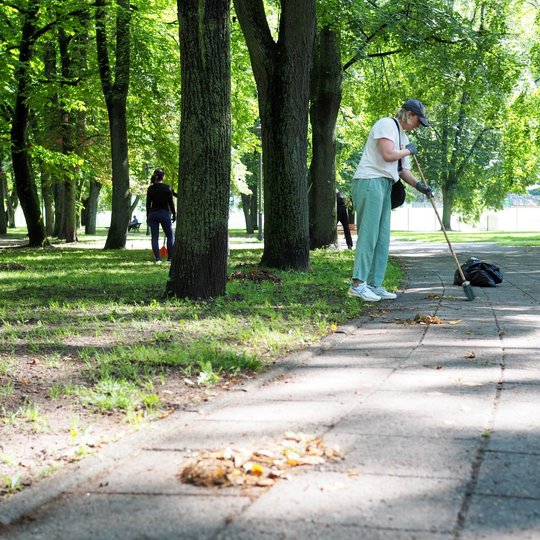 Sereikiškių parke, tarp Rotondos kavinės ir Kirdiejų rūmų šiaurinio fasado, esančiame pėsčiųjų take savanoriai šluoja susikaupusius lapus, žiedlapius ir bei smulkias šiukšles.