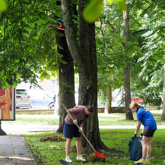 Prie Kirdiejų rūmų vakarinio fasado ir Barboros Radvilaitės gatvės savanorės grėbia nukritusius medžių lapus. Sugrėbti lapai kraunami į šiukšlių maišą.