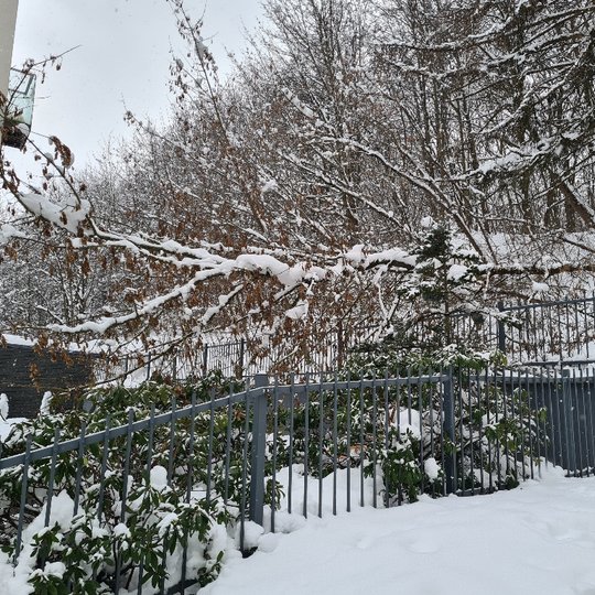Užpustytas Pilių parkas. Ne visi takai nuvalyti, ne visos snieglaužos pašalintos, ne visos aikštelės patogios parkuotis.
