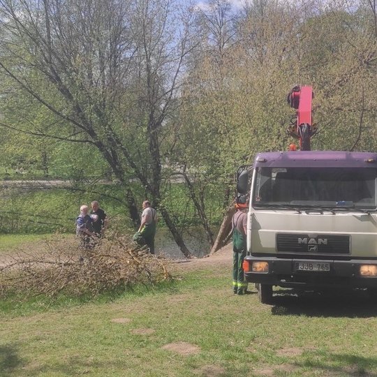 Yra tvarkomos pavasarinės žiemos išdaigas, kai šių metų balandžio 24-25 d., snigant ir esant stipriam vėjui (galima pavadinti net pūga), virto medžiai Vilniaus pilių teritorijoje. Vienas iš medžių stipraus vėjo neatlaikė ties paminklu K. Bekešui, kitas -