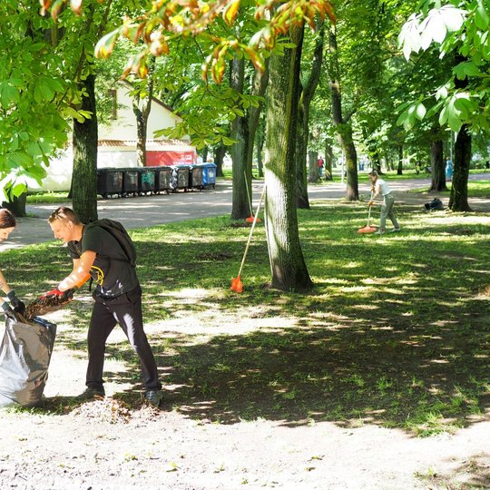 Savanoriai Sereikiškių parke į šiukšlių maišus krauna sugrėbtus lapus, smulkias šakas, žiedlapius.