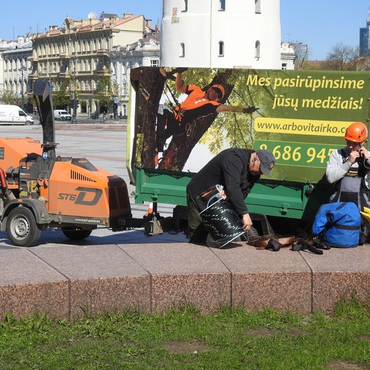 Stovi du arboristai - medžių specialistai. Išsidėlioję savo įrankius, virvių rulonus. Už jų yra dengta nedidelė krovininė mašina. SU užrašu MES PASIRŪPINSIME JŪSŲ MEDŽIAIS.