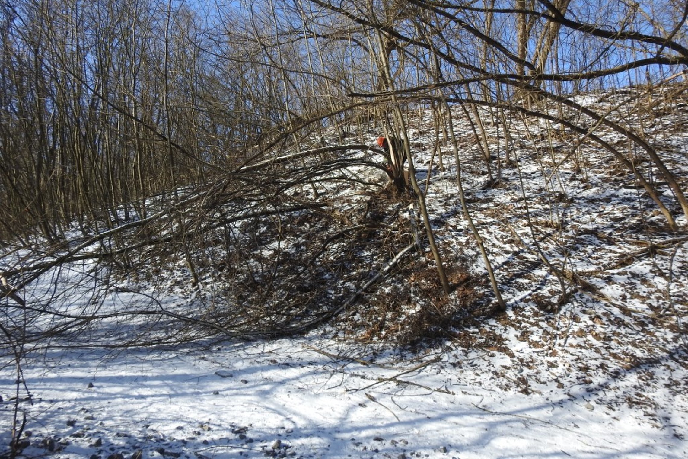 Šalinomos snieglaužos ir vėjovartos, keliančios pavojų lankytojams.