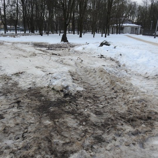 Nuotraukoje prodytas tas pats gėlynas žiemą, kai jis buvo suniokotas traktorių, kurie valo sniegą.