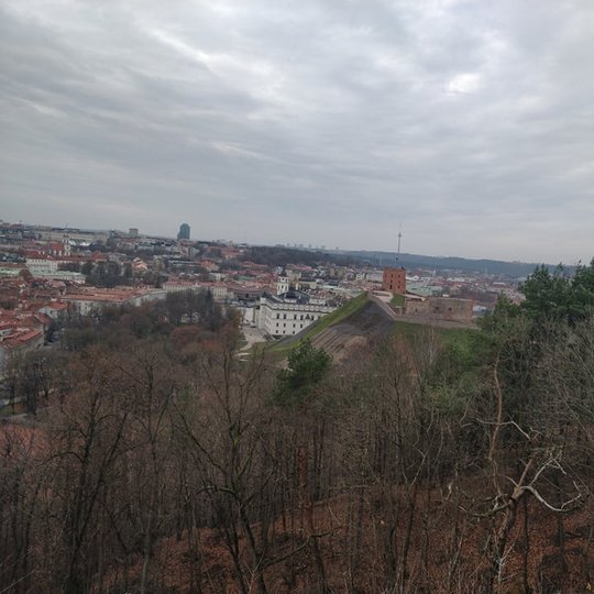 Vėlyvas ruduo ir vaizdas į Aukštutinę pilį, bei Vilniaus miestą nuo Trijų Kryžių kalno. Visi medžiai yra be lapų.
