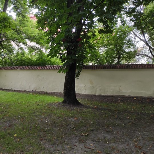 Kirdėjų rūmų tvora naujai išdažyta, jokių užrašų. Šalia tvoros auga parko medžiai.