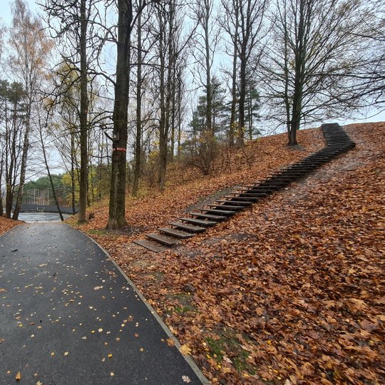 Vilnius, Kalnų parko tvarkymas. Vėlokas ruduo. Pirmame nuotraukos plane iš kairės pusės į dešinę du trečdalius nuotraukos užima platokas centrinis takas, bėgantis tolyn. Takas tamsios dangos, iš abiejų pusių apribotas borteliais. Takas keliauja link Kalnų
