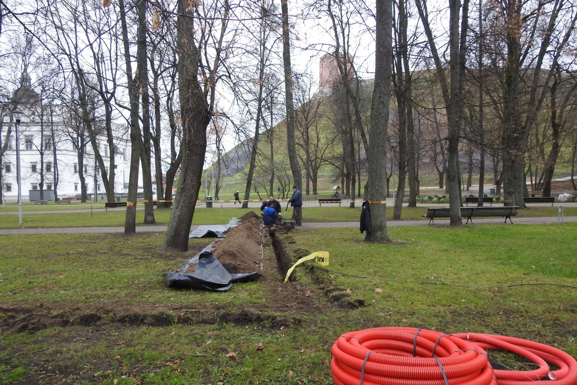 Rudens pilka diena. Pirmąjame plane parko medžiai, pajuodusiais kamienais, išsirykiavę eilėmis, o tarp jų nutysę ilgi plytelėmis kloti pasivaikščiojimo takai – drėgni, bet švarūs. Parko žolė dar žalia. Toliau, nuotraukos dešinėje, pro parko medžius stūks