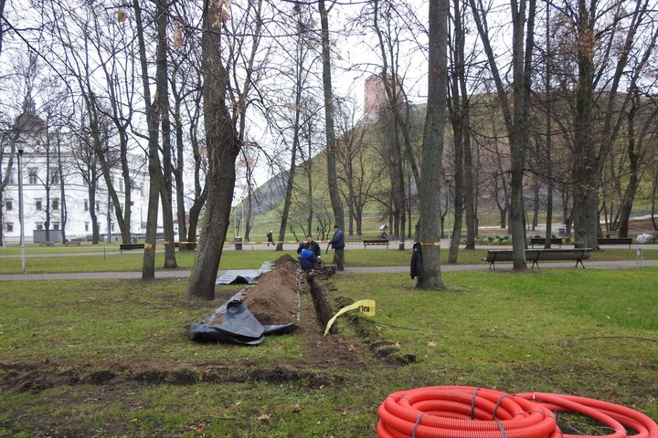  Rudens pilka diena. Pirmąjame plane parko medžiai, pajuodusiais kamienais, išsirykiavę eilėmis, o tarp jų nutysę ilgi plytelėmis kloti pasivaikščiojimo takai – drėgni, bet švarūs. Parko žolė dar žalia. Toliau, nuotraukos dešinėje, pro parko medžius stūks