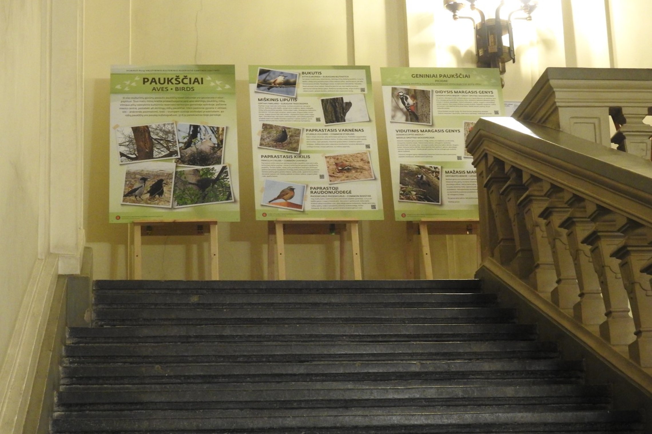 Sustatyti molbertai bibliotekos laiptinėje. Molbertuose stendai - vyksta paukščių nuotraukų paroda.