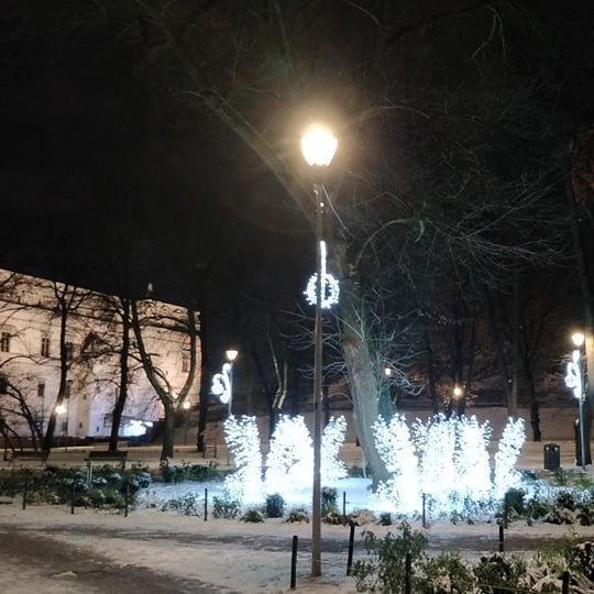 Nakties metas. Senasis Pilių parkas ir jame esantis centrinis rožynas žiemos metu. Nors žiema, tačiau žolės lpinėlis aplink medį labai ryškiai žaliuoja. Viduryje gėlyno sustatytos kalėdinės dekoracijos. Jos ryškiai šviečia.