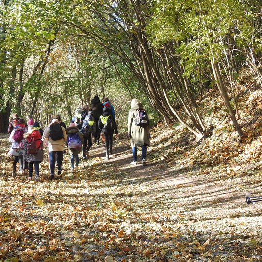 Grupė vaikų kyla į kalną. Aplinkui nuostabi rudens diena ir gražūs rudeniniai medžiai.
