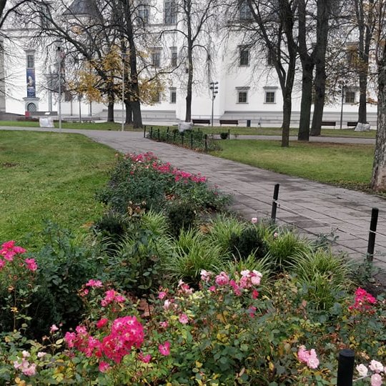 Nors ruduo, tačiau dar žydi rožės ir žalia parko veja, ant kurios nėra nei vieno nukritusio medžio lapo. Šalia gėlyno eina parko takas. Už jo stovi balti Valdovų rūmai. Vėlyvas ruduo, tačiau atrodo šilta.