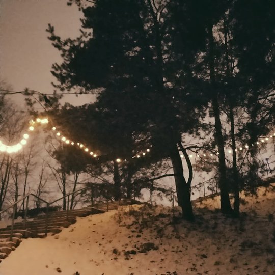 Naktis Trijų Kryžių kalne. Daug sniego. Nuotraukos dešinėje daug pušų. Trijų Kryžių kalno laiptai kyla į viršų. Virš jų kabo kalėdinių girliandų lemputės. Jos gražiai šviečia.