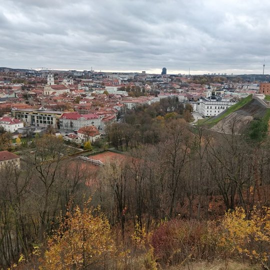 Vaizdas nuo Trijų Kryžių kalno. Matosi Aukštutinė pilis ir valdovų rūmų pastatas. Niuri diena, nėra saulės. Medžiai jau be lapų, ruduo.
