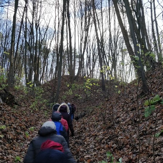 Ekskursijos dalyviai vienas paskui kitą kyla taku į kalną. Aplinkui medžiai jau be lapų. Lapai visi parudavę guli ant žemės.