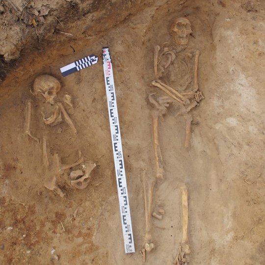 Perkasoje rasti žmonių palaikai - nuotraukoje du skeletai.