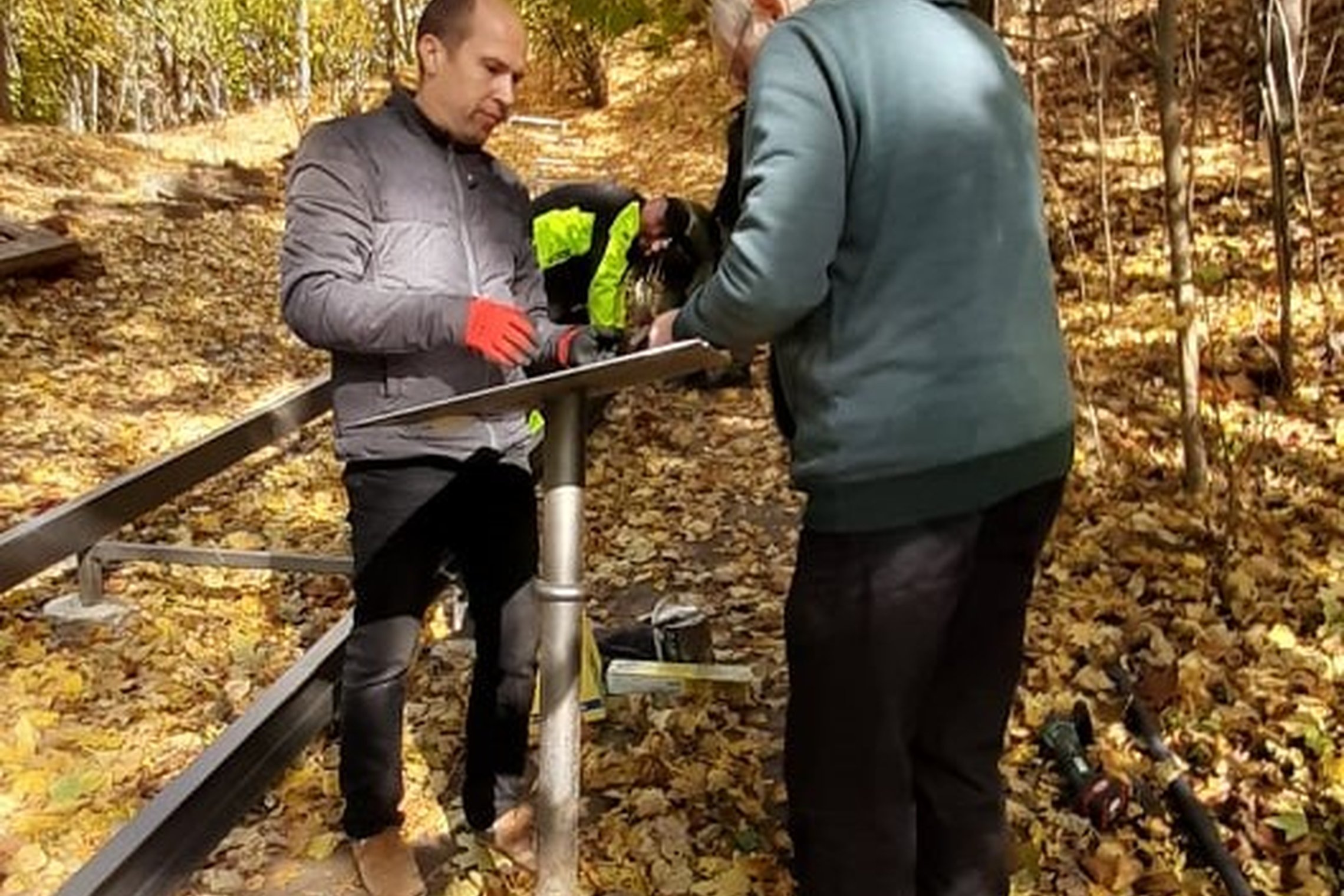 Saulėta rudens diena Kalnų parke. Pėsčiųjų takas driekiasi tolyn ir dingsta pasiekęs nuokalnę. Abipus tako augantys medžiai ir krū ilgus šešėlius skersai tako apiberto geltonais ir parudusiais lapais. Nuotraukoje jų kamienai meta ilgus šešėlius skersai t