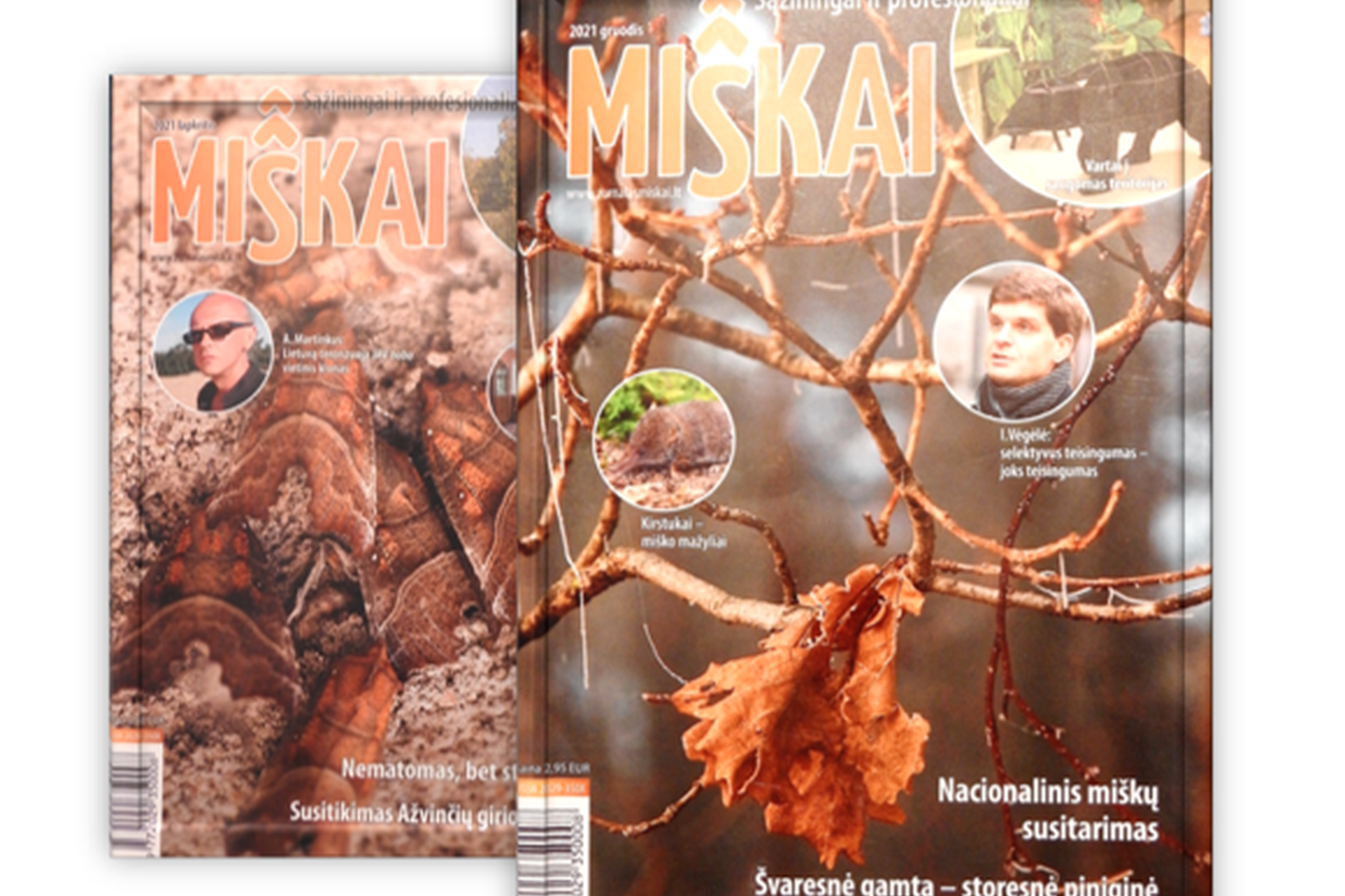 Žurnalo „Miškai“ gruodžio mėnesio viršelis - medžių šakos su vienu sudžiuvusiu ir kabančiu medžio lapu.