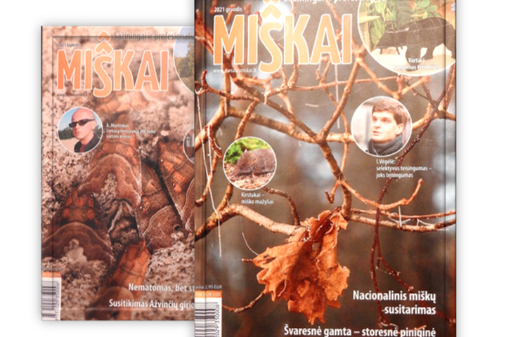 Žurnalo „Miškai“ gruodžio mėnesio viršelis - medžių šakos su vienu sudžiuvusiu ir kabančiu medžio lapu.