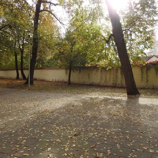 Neišterliota Kirdėjų rūmų siena. Ką tik pašalinti grafffiti piešiniai, esantys ant Kirdėjų rūmų.