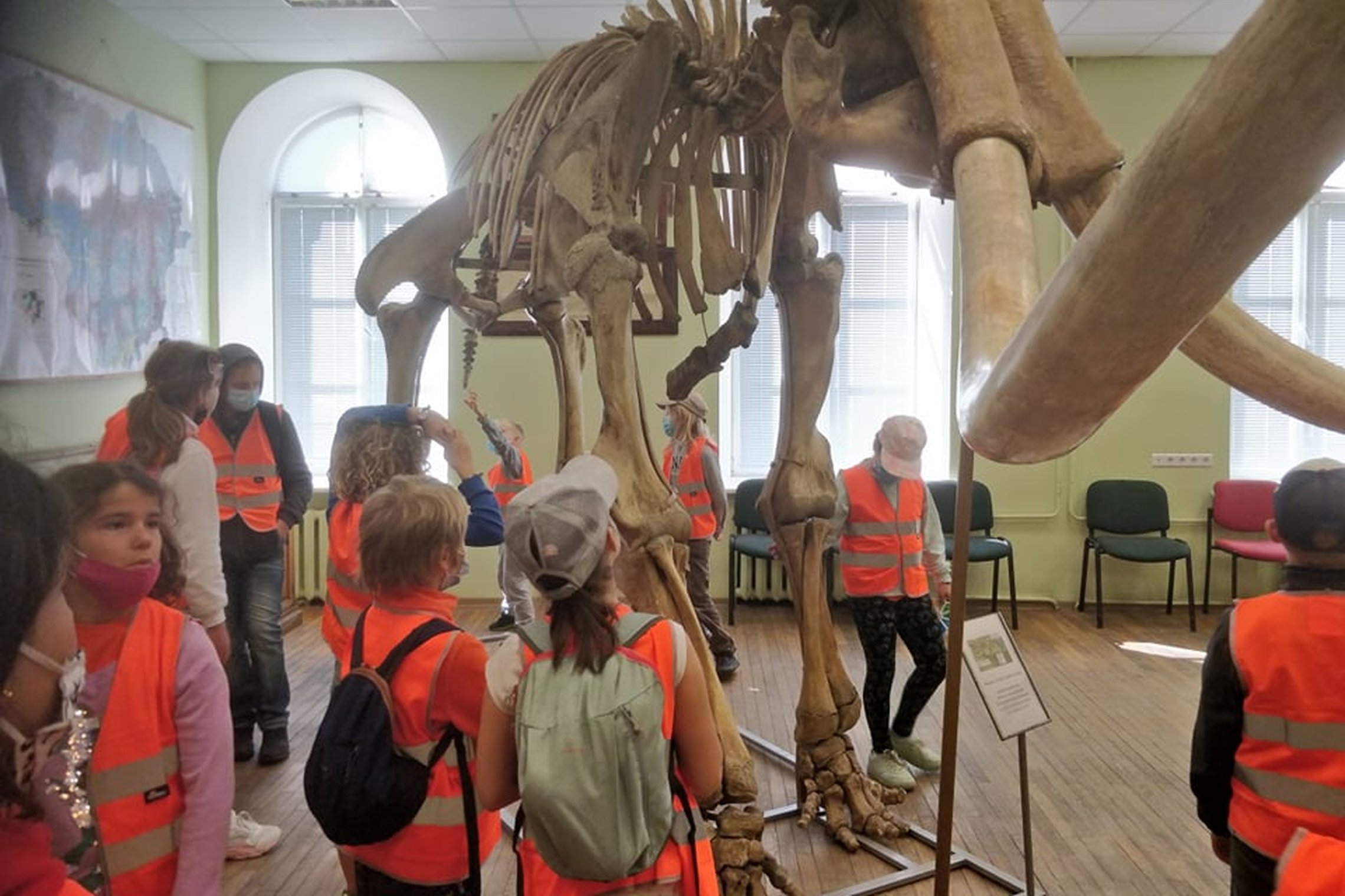  Patalpa su mamuto dideliais griaučiais. Yra 11 išsibarsčiusių po patalpą vaikų, apsirengusių oranžinėmis liemenėmis. Vaikai apie 8-11 metų. Centre stovi didelio mamuto griaučiai: jie užima daug vietos, pastatyti ant metalo konstrukcijos, dalis tos konstr