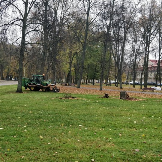 Senas parkas, kurio vejomis važiuoja nedidelis traktorius. Jis su specialiu įrenginiu siurbia rudeninius lapus. Tai priešpaskutiniai lapai, nes ant medžių dar kabo šiek tiek lapų.