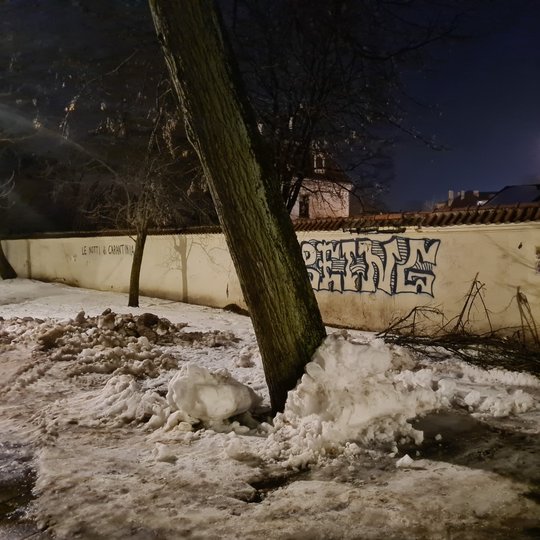 Ant Kirdėjų rūmų ansamblio tvoros „puikuojasi“ graffiti piešiniai ir užrašai. Vienas iš jų yra „Le Notti di Carintinia“. Žiemos metas, aplinkui daug sniego.