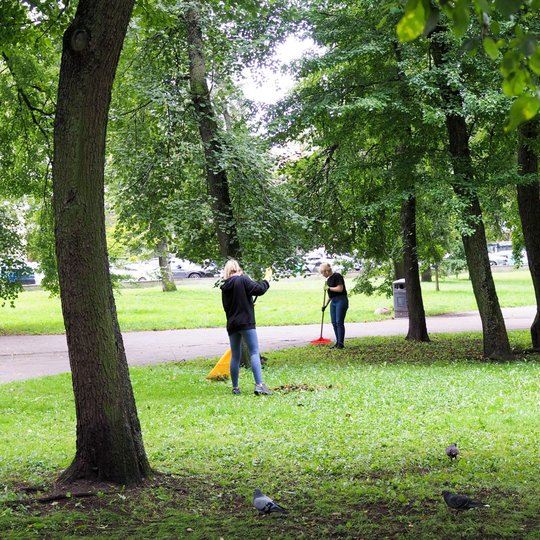 Žmonės parke grėbia lapus ir renka šiukšles talkos metu.