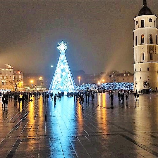 Katedros aikštė ir joje papuošta Kalėdų eglė. Eglė stovi šalia Katedros varpinės. Aikštėje būriuojasi žmonės, bet jų nėra daug. Už eglės matosi gražiai lemputėmis dekoruoti medžiai.