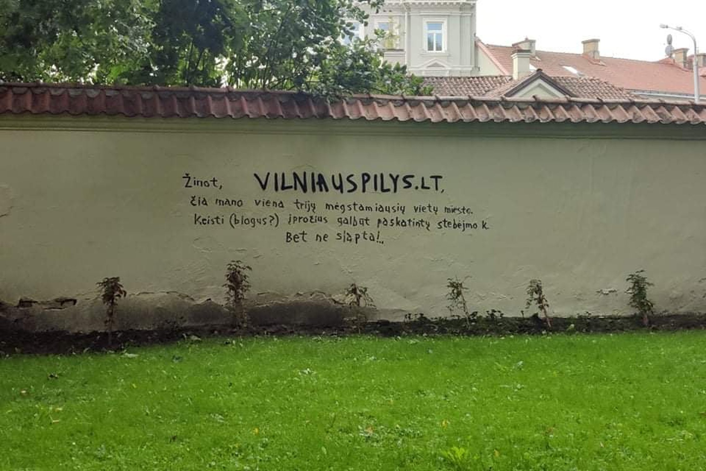 Terlionės ant Kirdėjų rūmų tvoros. Neįpusėjus rudeniui, siena vėl išmarginta terlionėmis ir palinkėjimais direkcijai.
