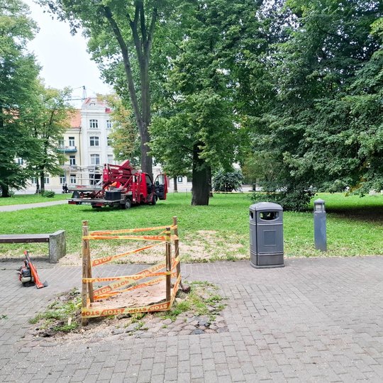 Nupjovus pavojingą medį pėsčiųjų take liko jo kelmas, kuris aptvertas laikinu atitvaru.